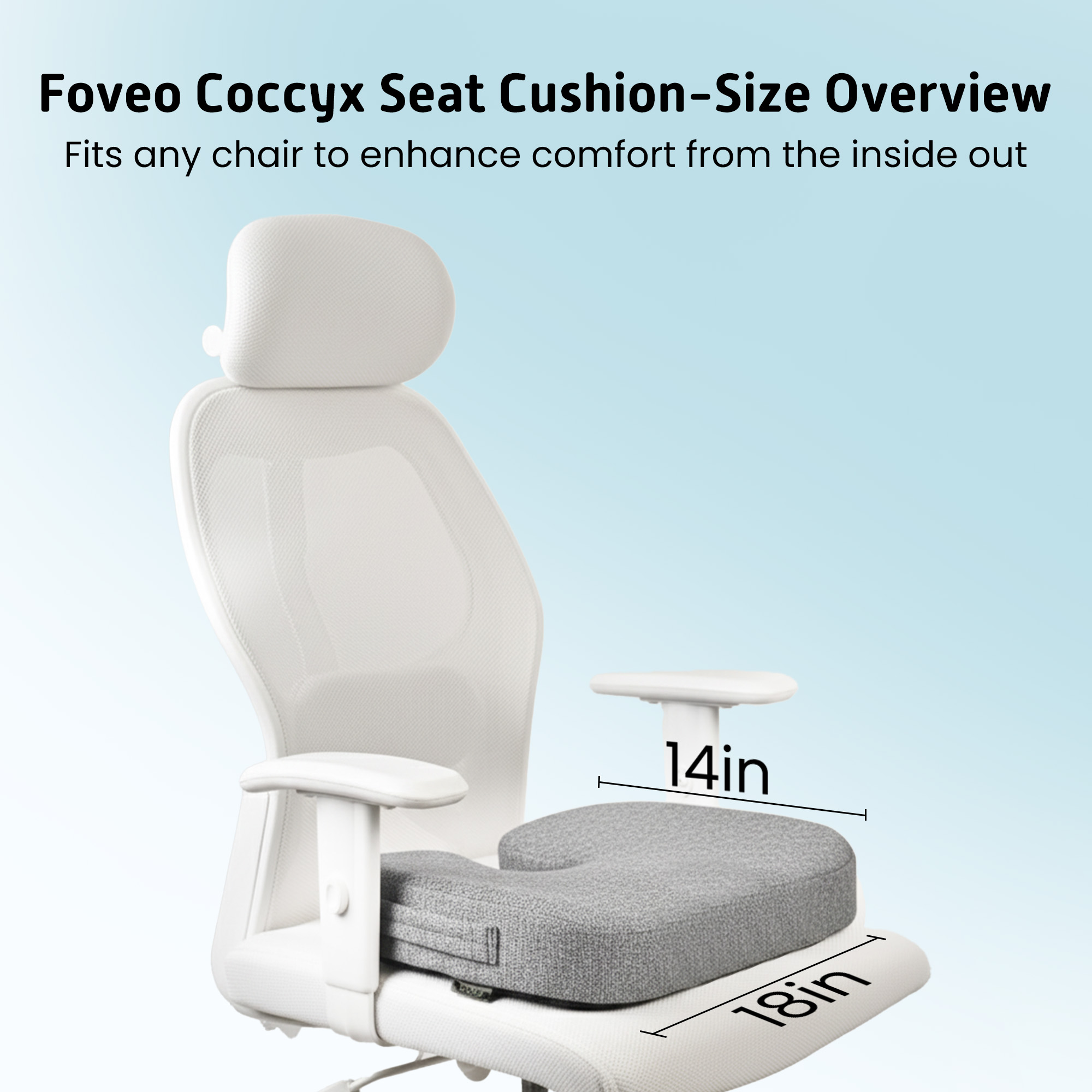 Coccyx Cushion view 7